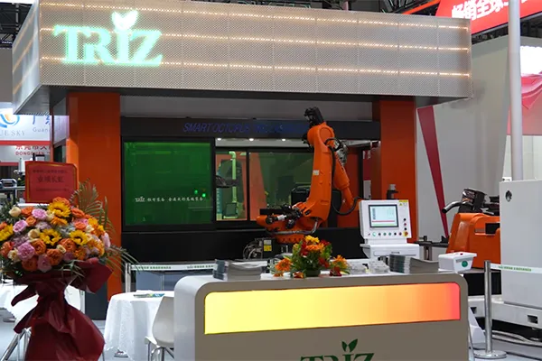 16 Eksenli Çift İstasyonlu 3D Lazer Kesim Makinası